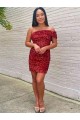 Best Velvet Sequin Short One Shoulder Sheath Evening Prom Dress Canada